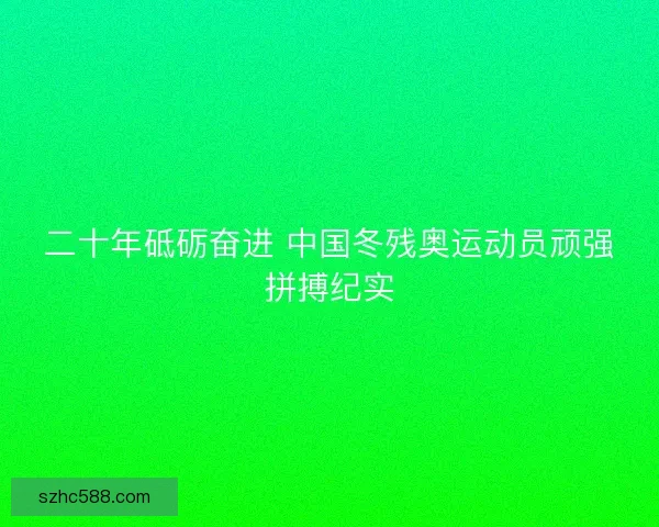 二十年砥砺奋进 中国冬残奥运动员顽强拼搏纪实
