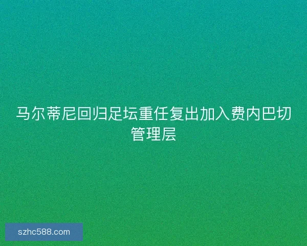 马尔蒂尼回归足坛重任复出加入费内巴切管理层